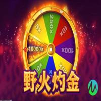 安全的充值环境